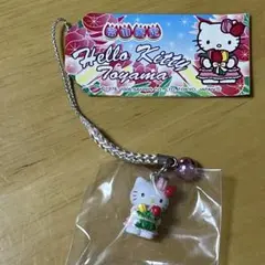 Hello Kitty キティ 封筒 チューリップ 平成レトロ 1999年 - メルカリ