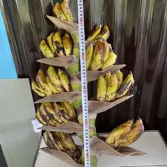 けぃちゃん様 リクエスト 2点 まとめ商品