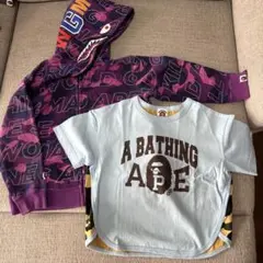 Item thumbnail for item 538e0500-0070-44b5-a799-67f3699b1ebf