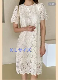 Dazyワンピース　サイズXL