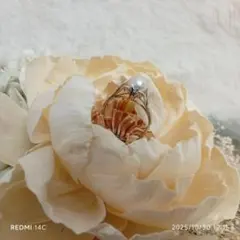 Item thumbnail for item 19f8ba61-8e8a-46bb-8bd7-e47153dfa600