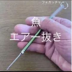 Item thumbnail for item 66c7be6e-ac9e-453a-a906-047d92b4c4b1