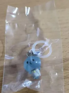 JOCHUM JO1 めじるしアクセサリーマイクン