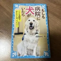 Item thumbnail for item 7ba4e3d3-a73c-494b-a7f7-95b77039f8a0