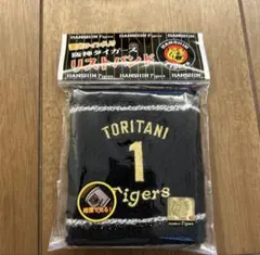 Item thumbnail for item d20ffa79-088e-4fc0-a4f8-12b3c3402c5b