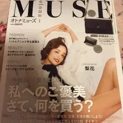 オトナミューズ 2017年1月号 冊子のみ