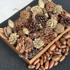 7-21自然素材　ミックス30種ナチュラル　夏休み自由研究　工作素材