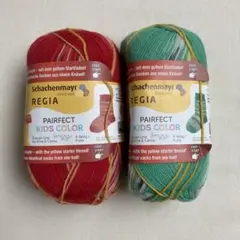 ソックヤーン　60g 2色セット REGIA