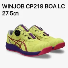 WINJOB CP304 BOA GLEAM 28.0限定モデル - メルカリ
