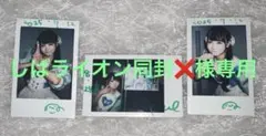 しばライオン同封❌様専用出品