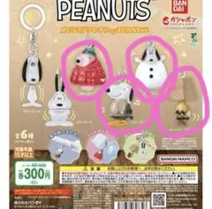 PEANUTS ピーナッツ めじるしアクセサリー　 FUNNY ver. ４種
