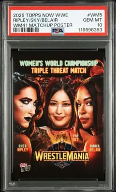 Item thumbnail for item d71178b9-aaec-4a0b-a191-cd341d66db70