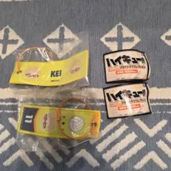 ハイキュー!! 月島蛍