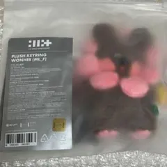ILLIT キーリング 1周年記念 ウォンヒ ぬいぐるみ - メルカリ