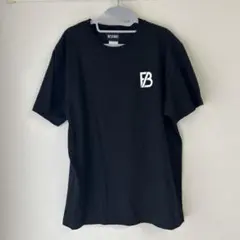 Item thumbnail for item 144d2606-a954-4952-bb3a-9a7386955996