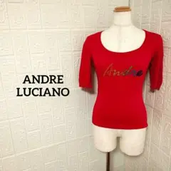 ANDRELUCIANO 馬刺繍 赤ニットセーター ANDRELUCIANO 馬刺繍 赤ニットセーター 楽天市場】アンドレ