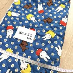 Item thumbnail for item 7cea44b0-1345-465f-913e-17debcd16ff9