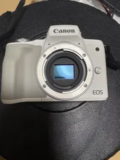 Item thumbnail for item 1e268c4e-20b1-4a30-b08d-268e0f464e5a