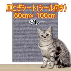 Item thumbnail for item 346ef910-206d-4b80-bcd3-e6a59e98fa5f