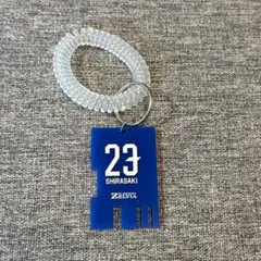 Item thumbnail for item cbf21b87-1d8f-4669-954a-65b8fea8ba48