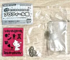 サンリオキャラクターズ プロフィール帳 チャーミーキティ