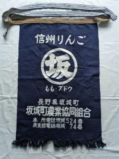 Item thumbnail for item 9e64f472-aea1-4d3a-9711-8931ceb8ec94