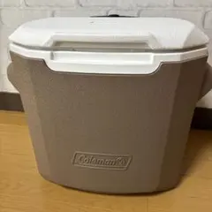 콜맨 베이지 쿨러 박스