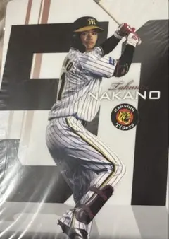 中野拓夢　下敷き