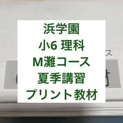 現品1点限り！【浜学園】小6 夏期講習 理科　M難コース 教材　テスト理科AB