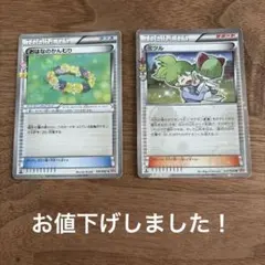 ポケキュン　おはなのかんむり・ミツルセットのサムネイル