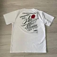 Item thumbnail for item f82b7be0-8a94-4d70-b106-0157d0a7141d