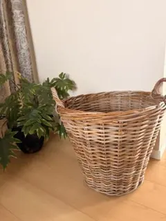 Item thumbnail for item 5e3b54b5-9dd4-4e63-985a-880761682933