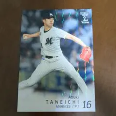 野球カード ロッテ 種市篤暉