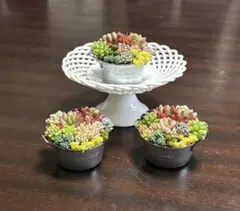 きっとちぇん様 リクエスト 3点 まとめ商品