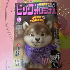 ビッグオリジナル 2025年9月20日号