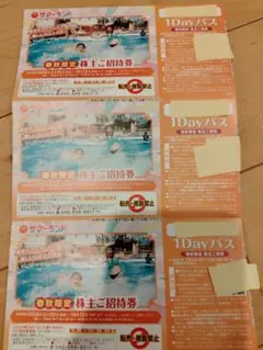 東京サマーランド 春秋限定 1Dayパス 3枚 - メルカリ