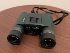 Item thumbnail for item 2360c38b-33df-4b3f-88d1-463ca804d27f