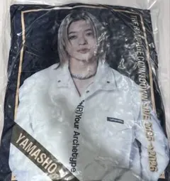 2026年最新】山本彰吾 クッションの人気アイテム - メルカリ