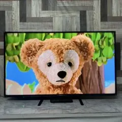 全国送料込❣️キュリオム50型4K液晶テレビオンキョースピーカー搭載W