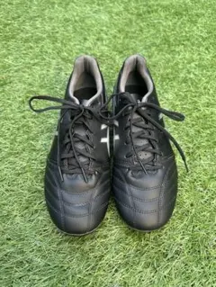 ASICS DS LIGHT ADVANCE WIDE 27.0cm