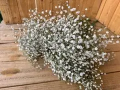 ＊ゆっこ＊様 リクエスト 2点 まとめ商品