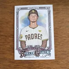 Item thumbnail for item 4d6465a2-3180-4d3b-84ca-b1d9342dc64d