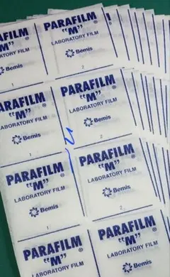 早いもの勝ち！特価！PARAFILM 　パラフィルム10×20cm 10枚のサムネイル
