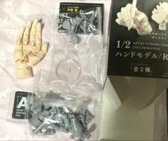 コトブキヤ ハンドモデル 1/2 BOX版 スタジオソータ グレー