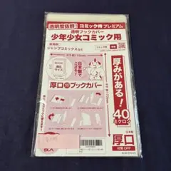 Item thumbnail for item d2fb893c-7fca-49a2-ab60-ff94fe585d25