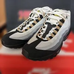 Nike Air Max 95 ICONS 30.0cm