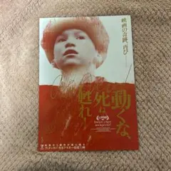 2026年最新】ヴィターリー・カネフスキー dvd-boxの人気アイテム