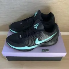 Nike Ja 2 "Tiffany Swoosh" 28.5cm