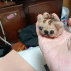 Item thumbnail for item 9589551e-2026-4ba2-98b3-4d3eeb37ee89