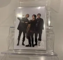 Mrs. GREEN APPLE フォトカード 017 ゼンジンリライアンス